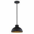 Brightbomb One Light Indoor Pendant, Hammered Oil Rubbed Bronze BR2689890